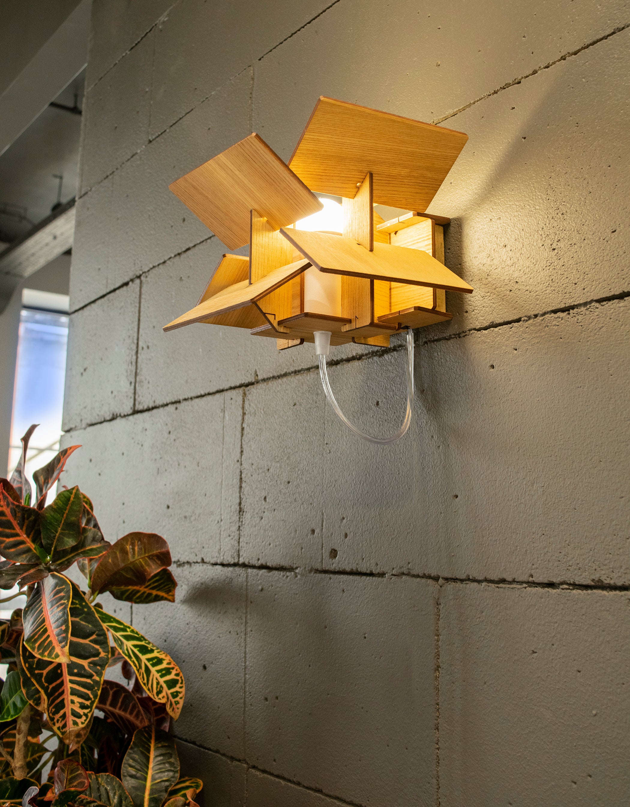 Wooden wall light from plywood and ash venereed